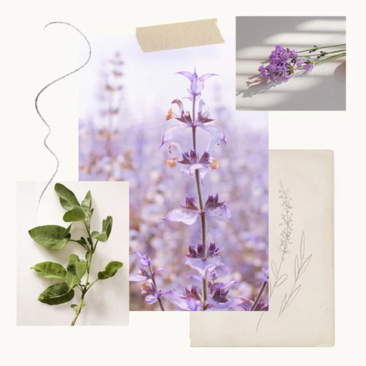 Thymes Lavender Large Hand Wash