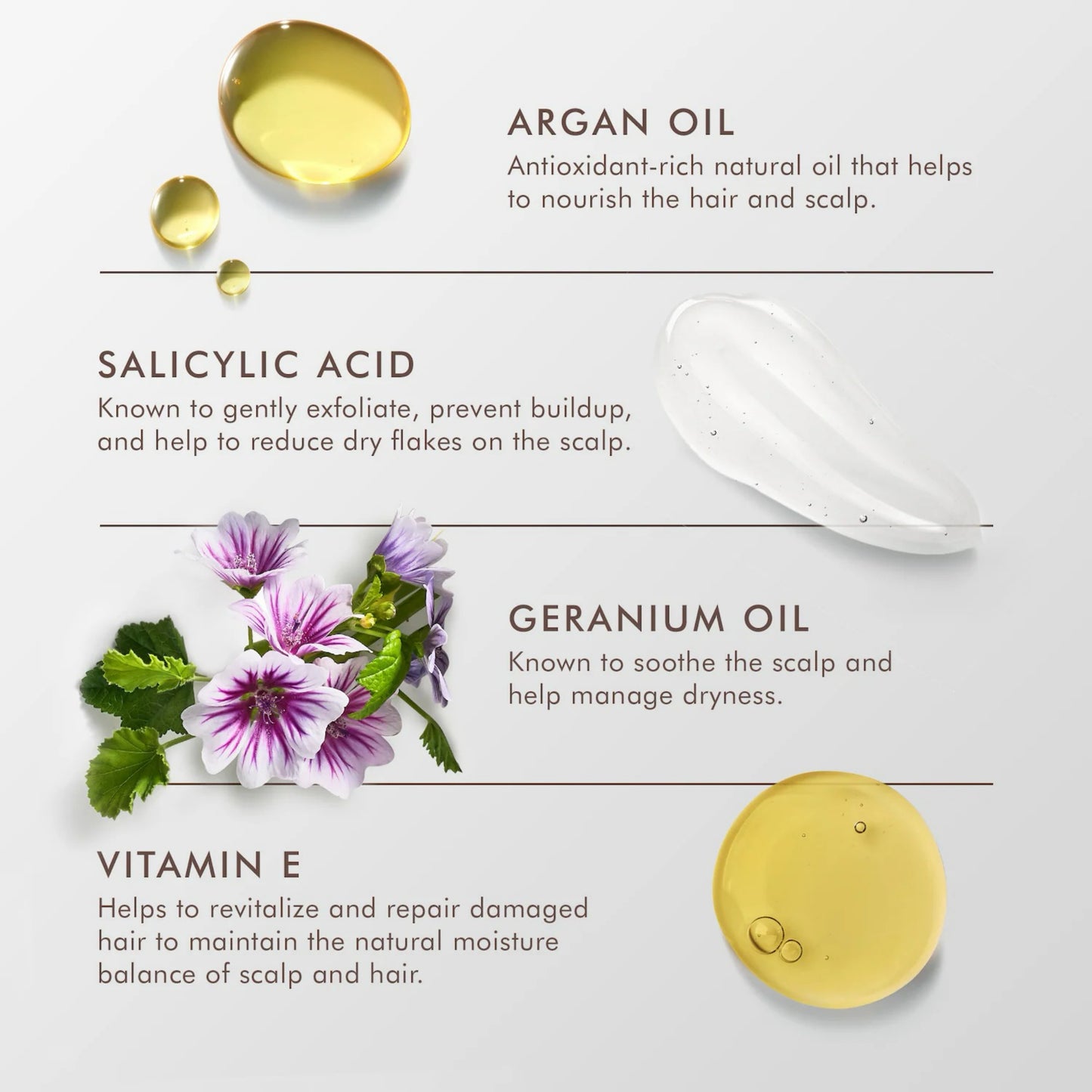 Moroccanoil Dry Scalp Treatment - Details