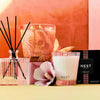 Nest New York Something Tropical Reed Diffuser