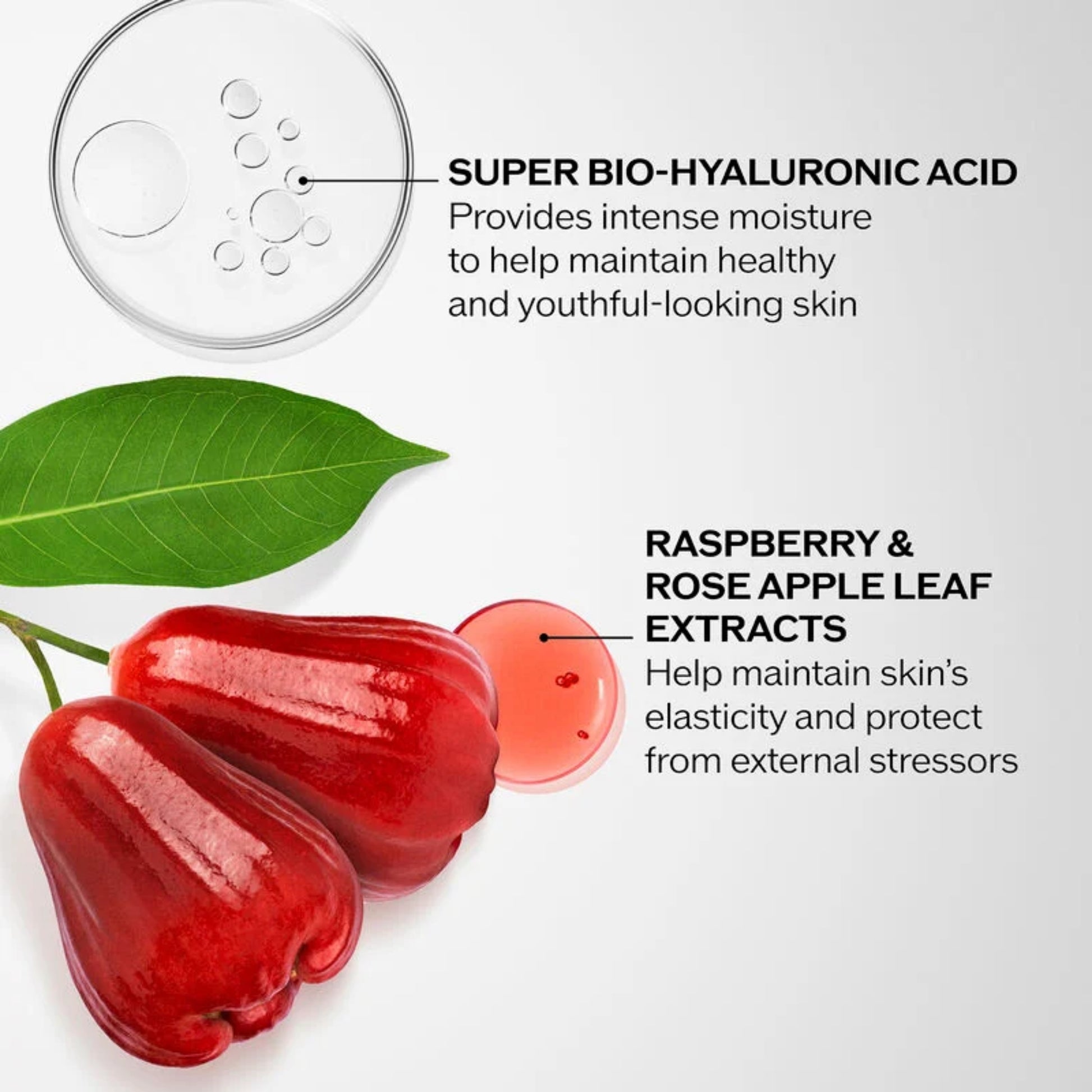 Shiseido Bio-Performance Advanced Super Revitalizing Cream