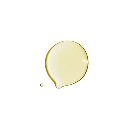 Aveda Dry Remedy Daily Moisturizing Oil for nourishing dry hair