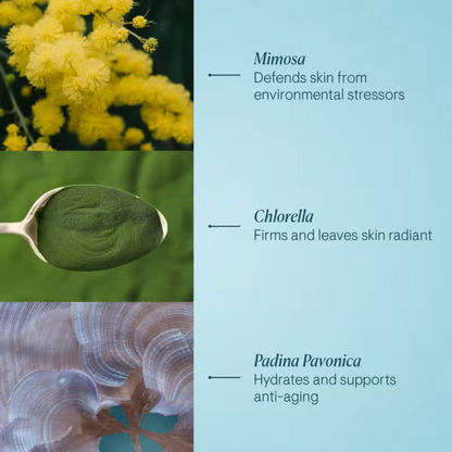 Elemis Pro-Collagen Marine Cream – nourishing anti-aging face moisturizer.