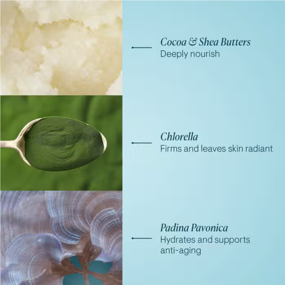 Elemis Pro-Collagen Marine Cream Ultra Rich nourishing face cream.
