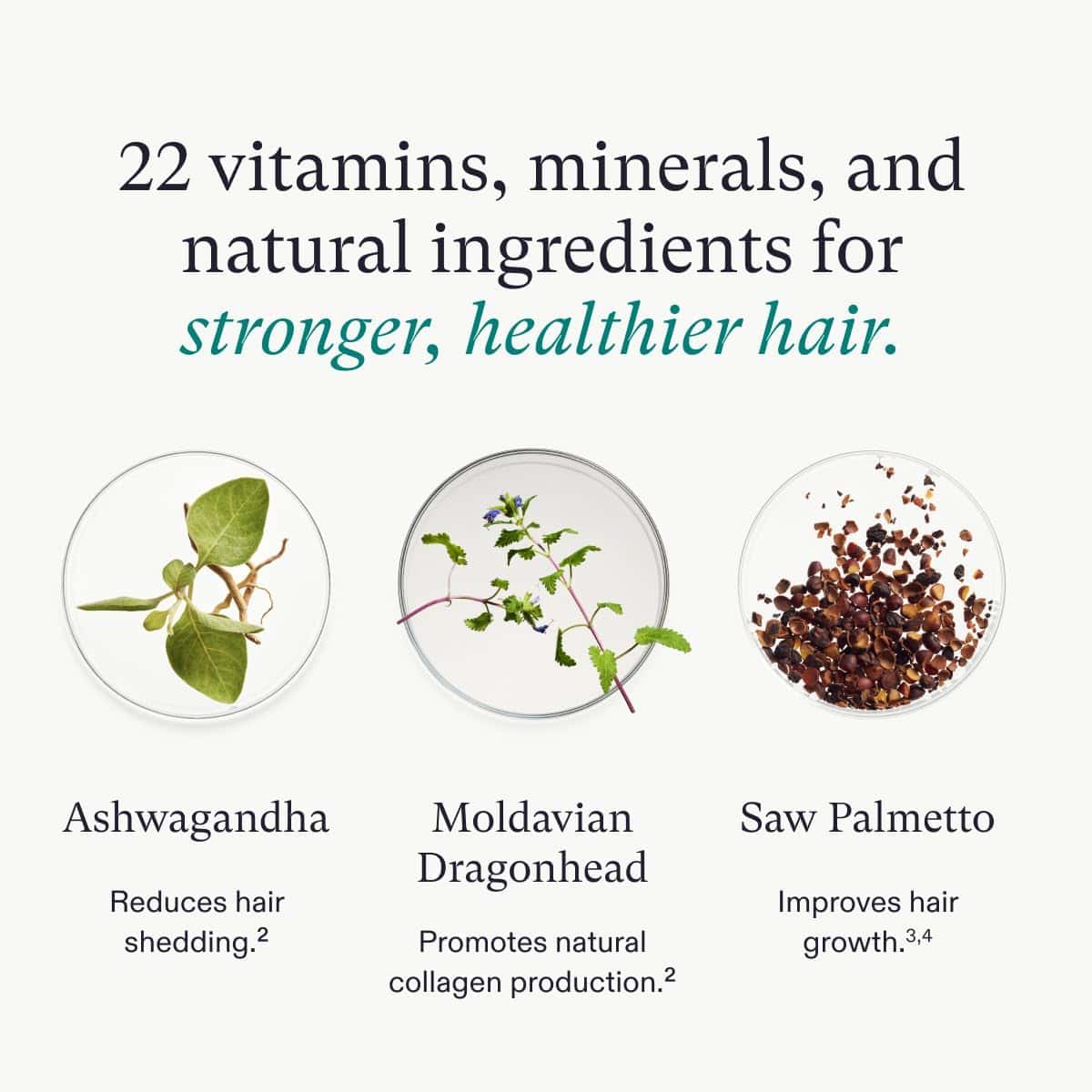 Nutrafol Women’s Vegan Hair Growth Supplement Pack – plant-based supplement for healthier hair growth








