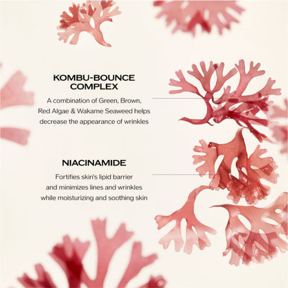 Shiseido Benefiance Wrinkle Smoothing Cream Enriched – luxurious cream for wrinkle reduction and skin hydration
