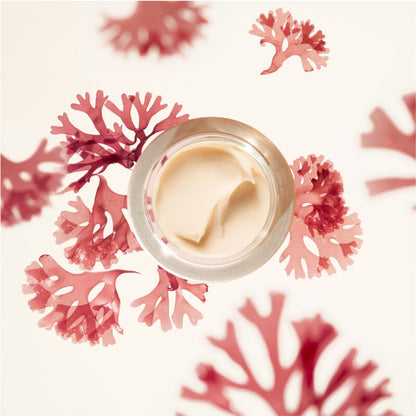 Shiseido Benefiance Wrinkle Smoothing Cream Enriched – smooths wrinkles and nourishes skin